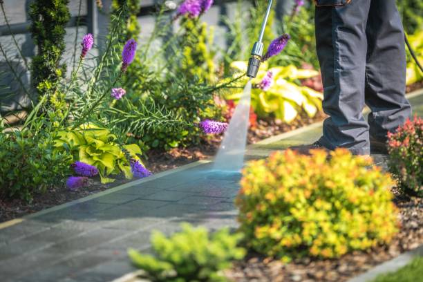 Best Restaurant Pressure Washing  in Hull, IA